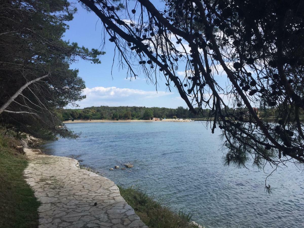 Apartament Helena Zaton  Zewnętrze zdjęcie
